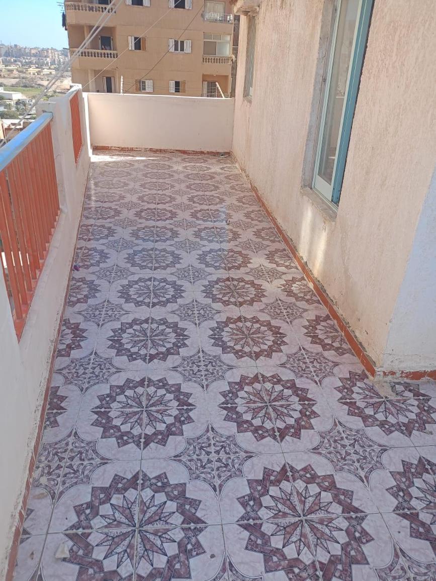 TM team investment - roof on the beach in abu quir view 5