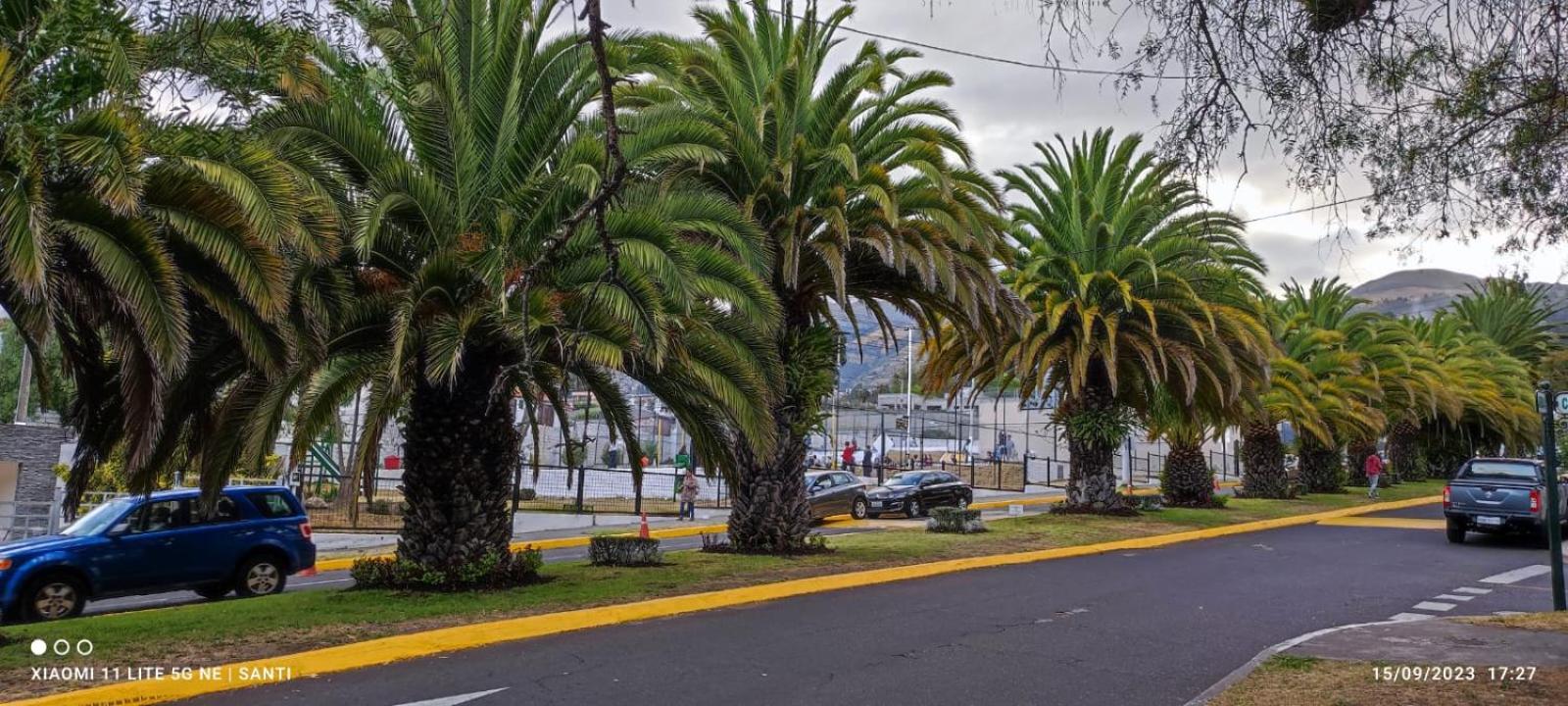 Urbanización El Condado.