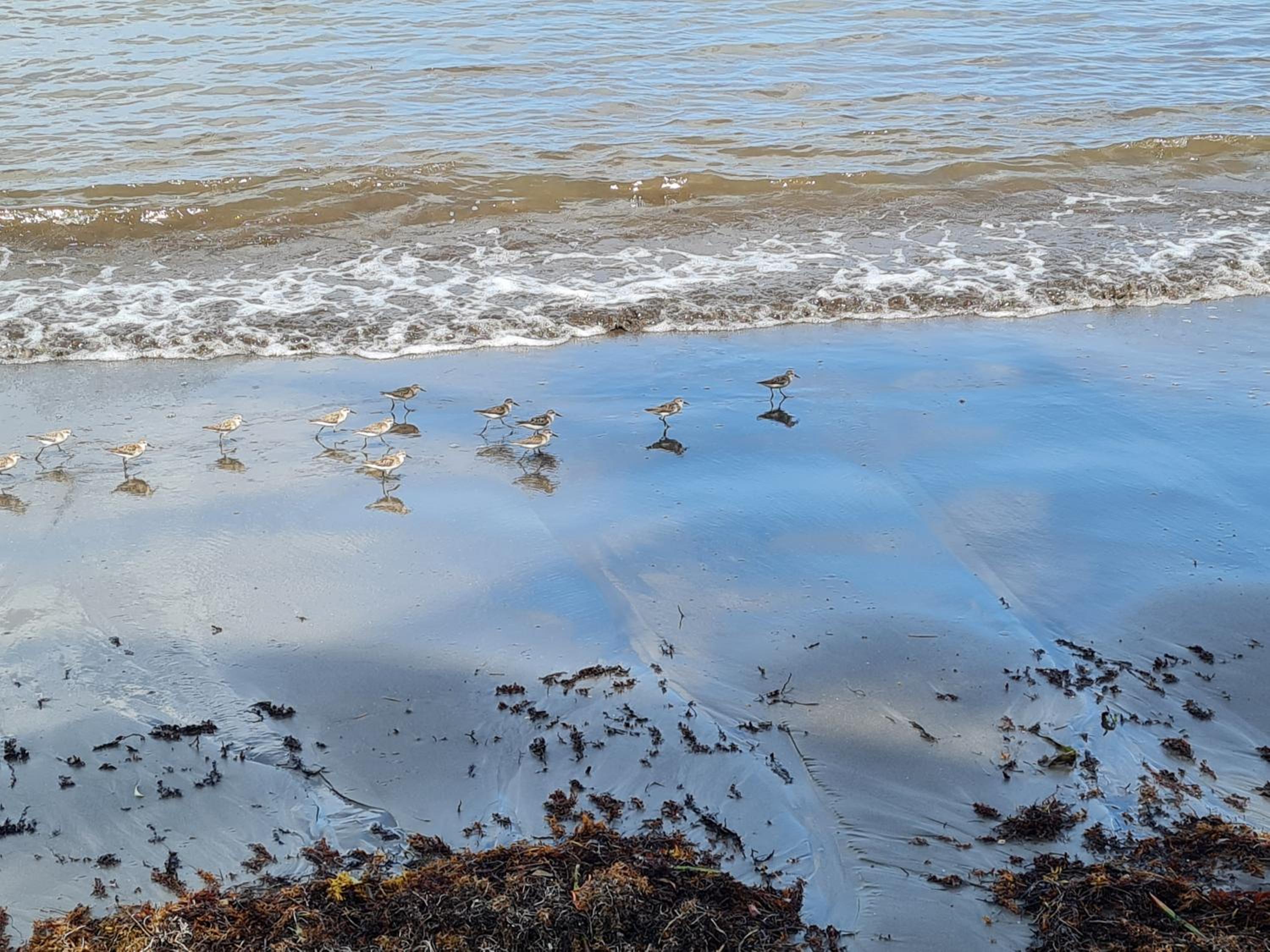 La kaz nature bien-être, photo 31