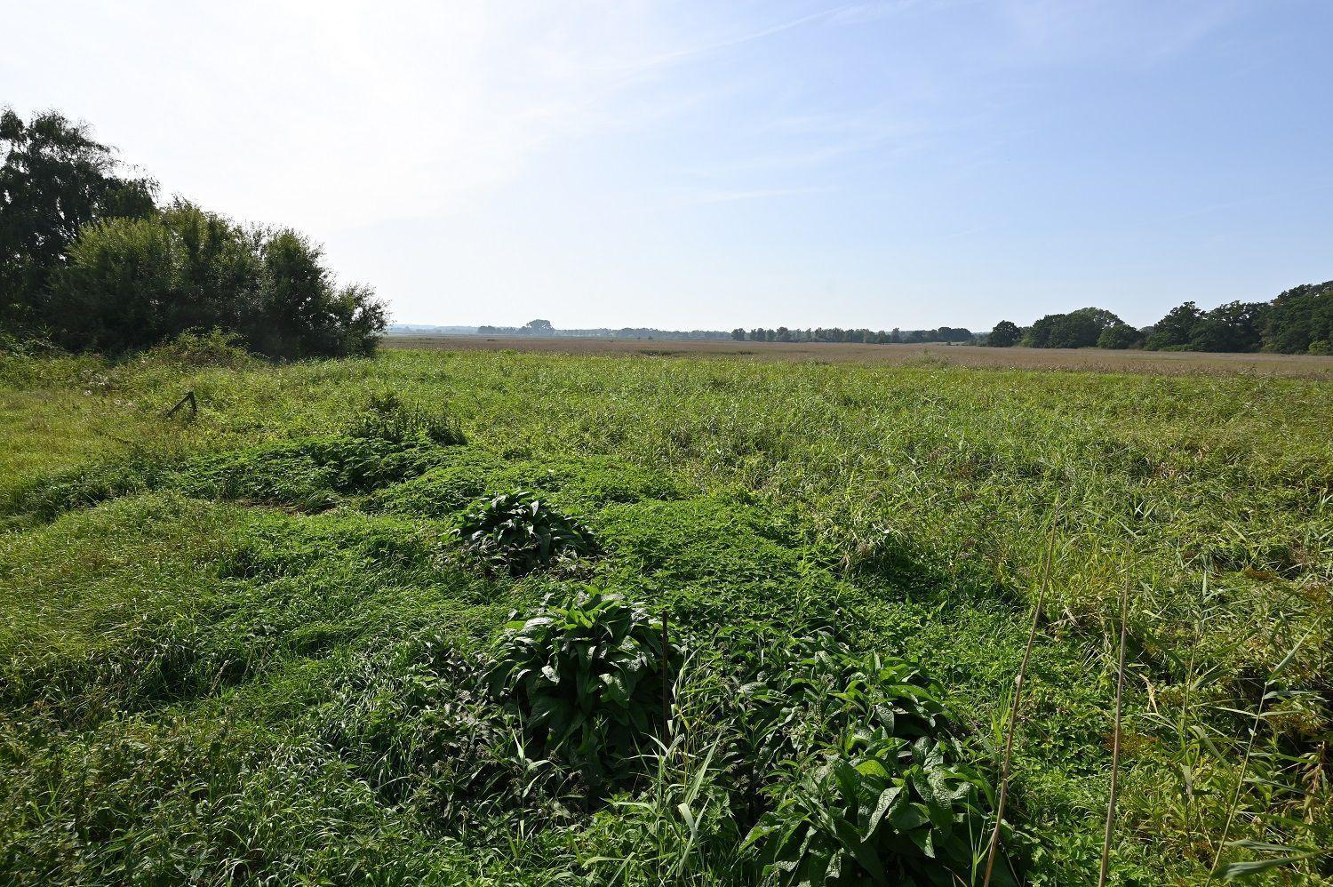 Meer-Natur