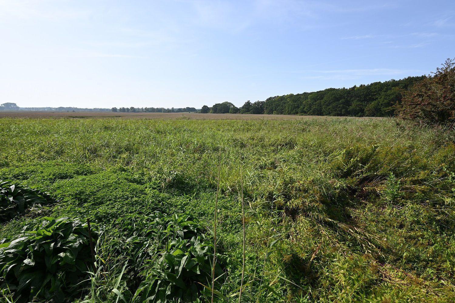 Meer-Natur