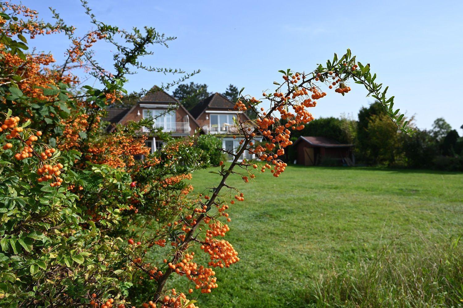 Meer-Natur