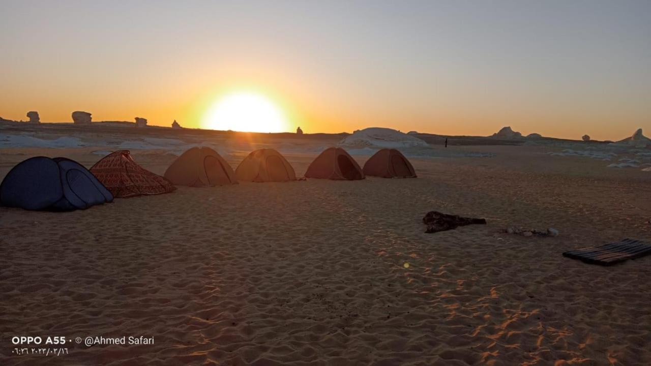 White Desert Safari