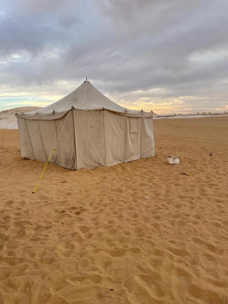 White Desert Safari