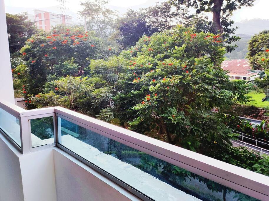 Hermoso apartamento, vista con entorno natural.