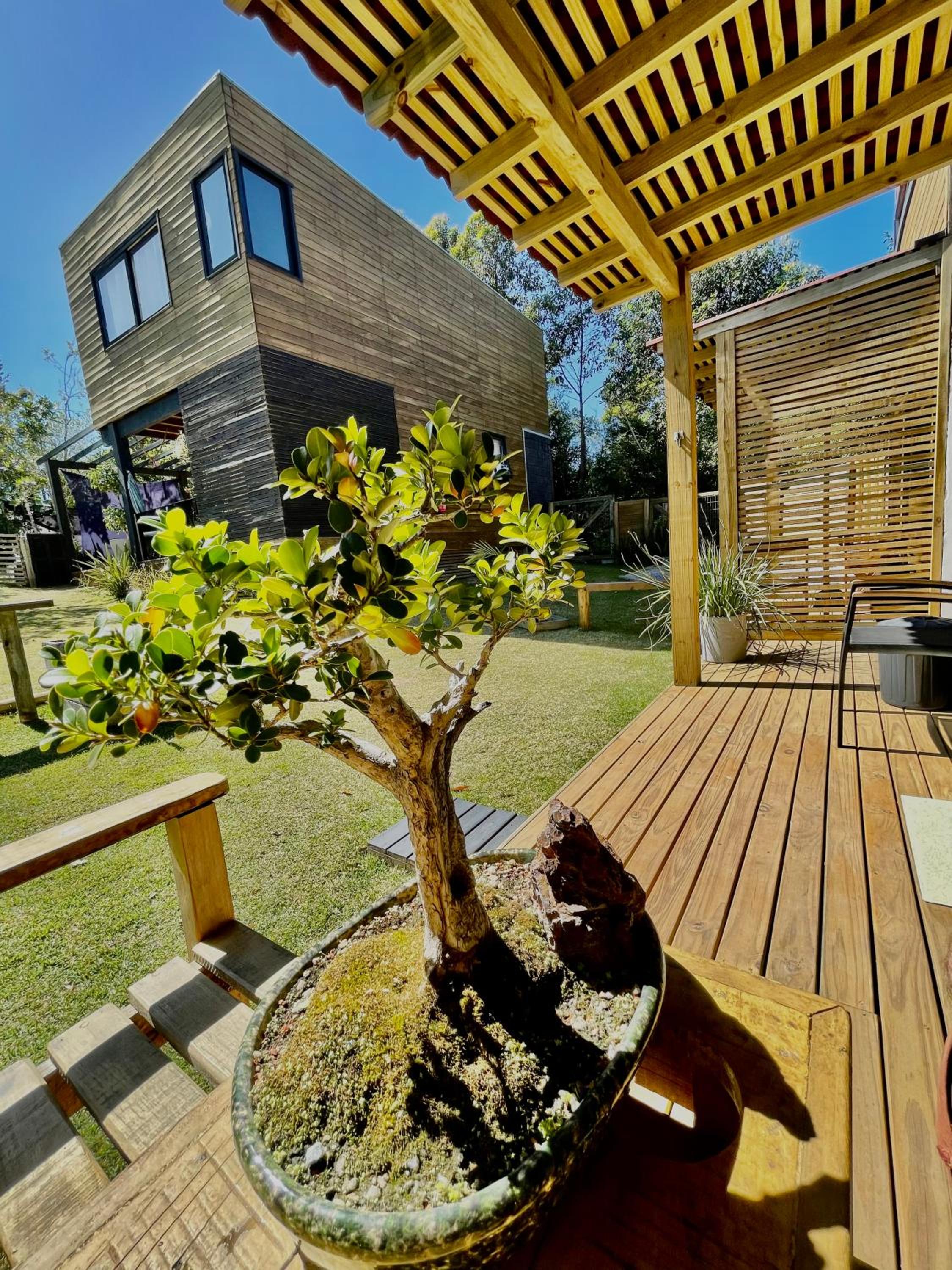 Rosa Lodge Lofts
