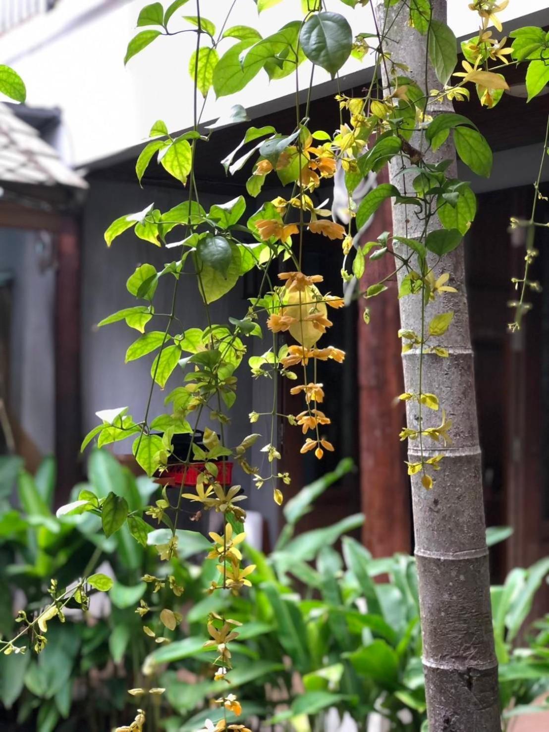 Khammon Lanna Resort Chiang Mai