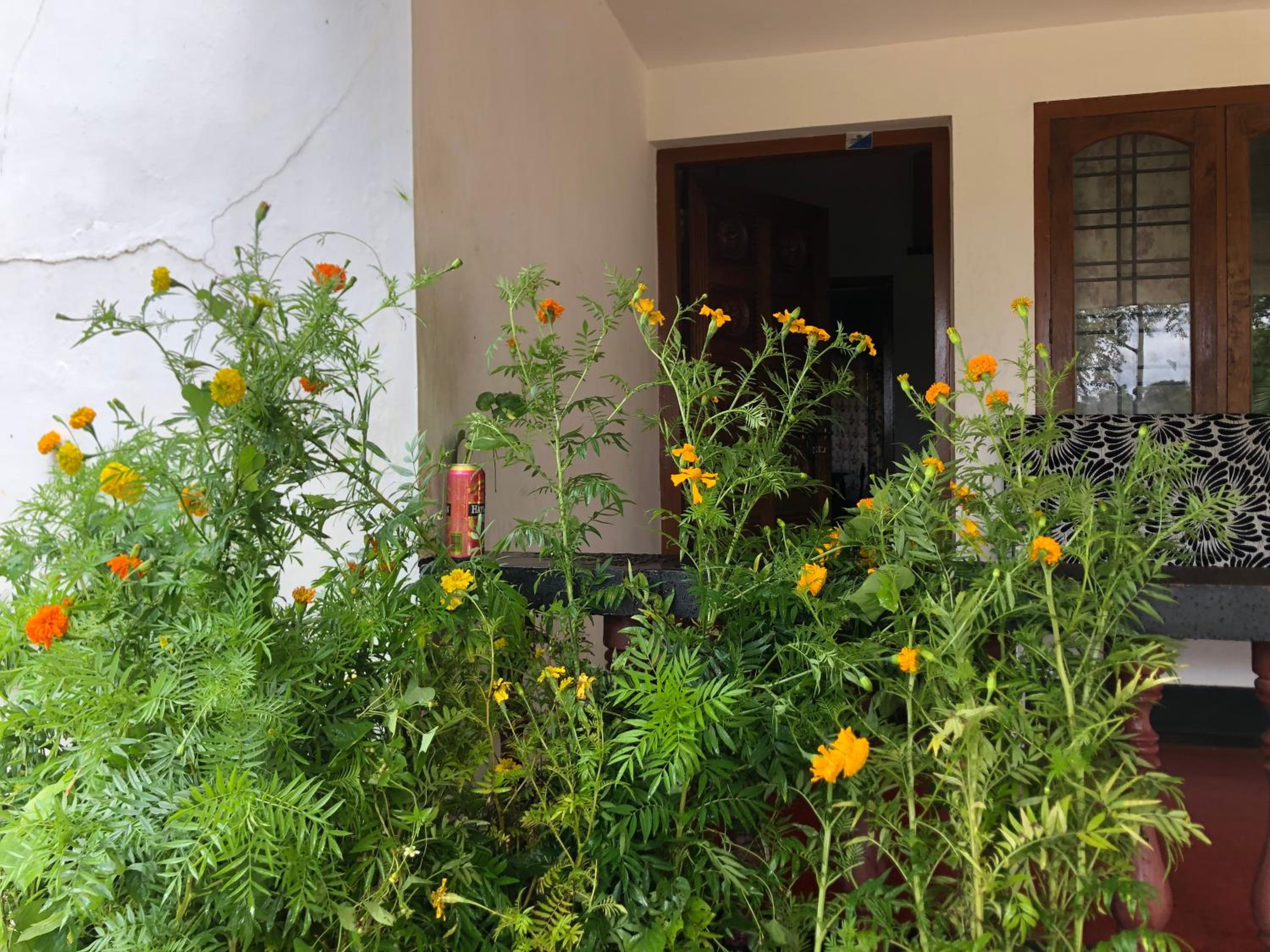 KURUVAHOLIDAYHOMES