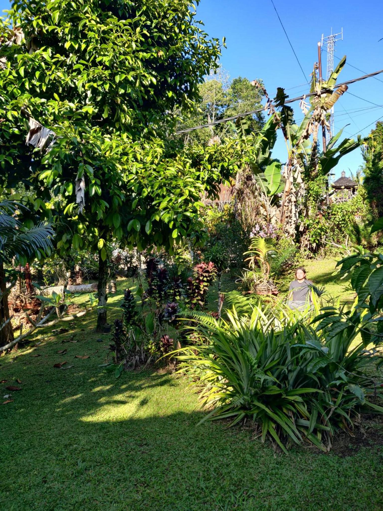 Dina Homestay view 3