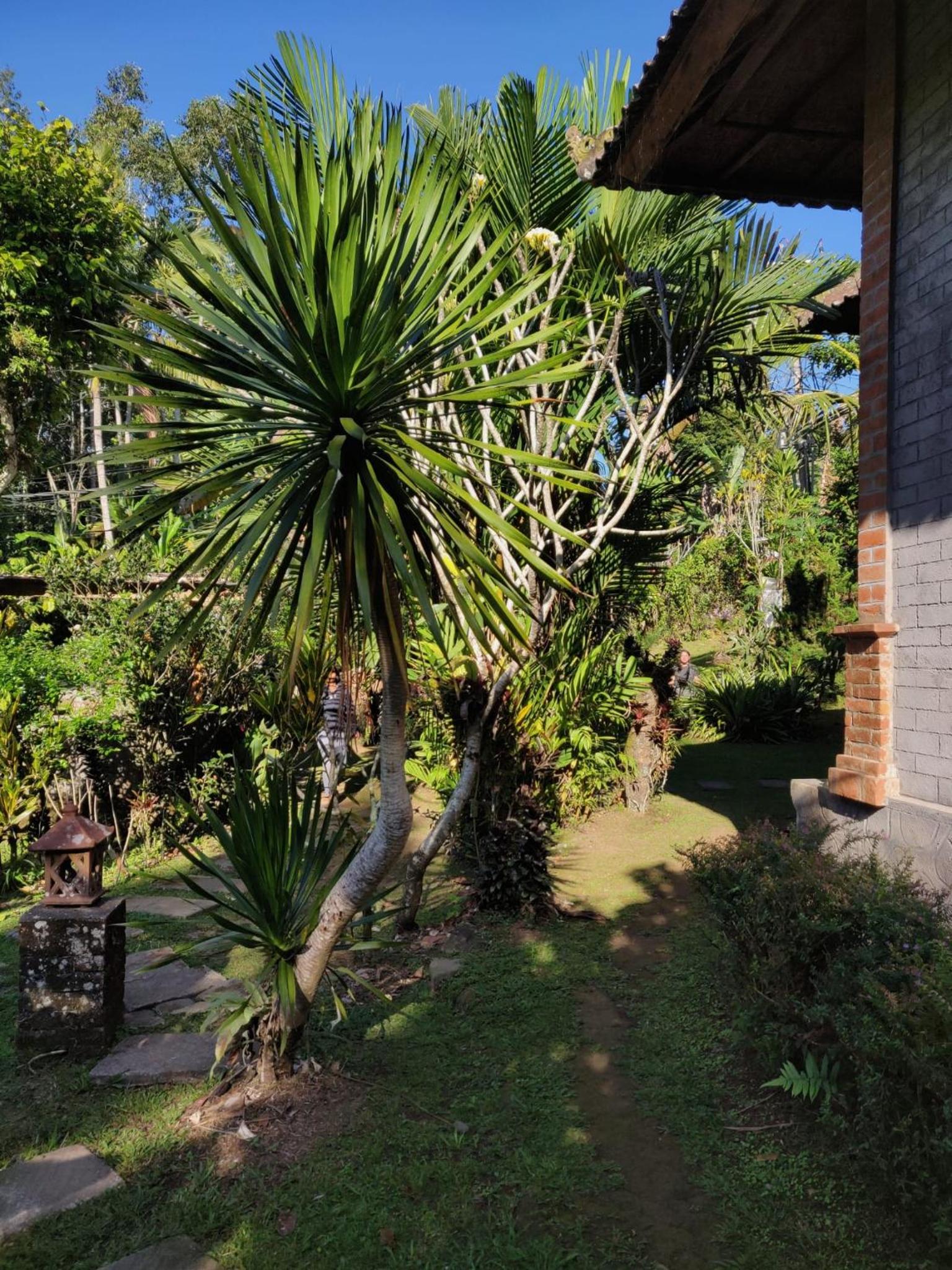Dina Homestay view 2