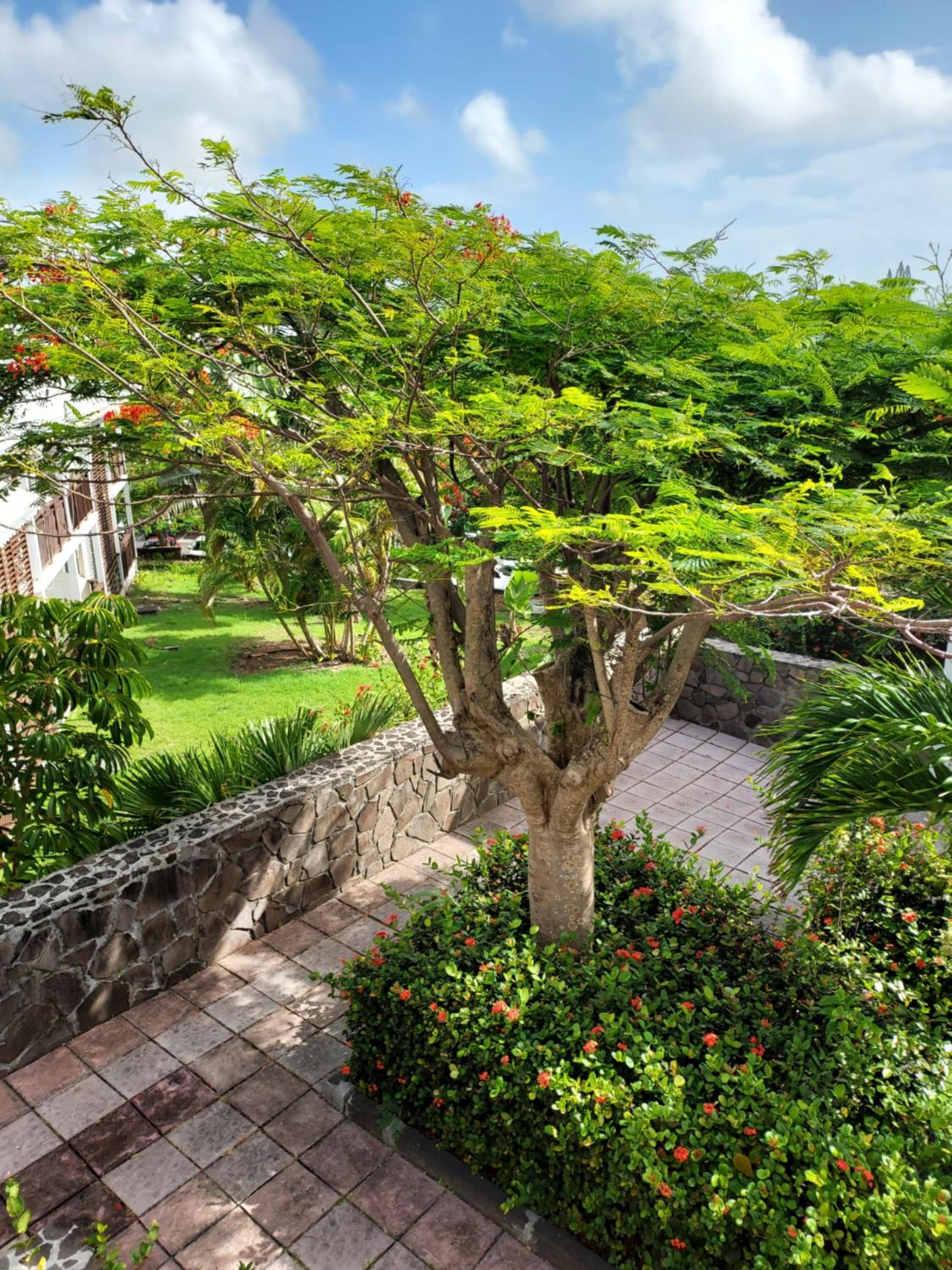 RESIDENCE MANGANAO - CASEMOIN - 3* view 3
