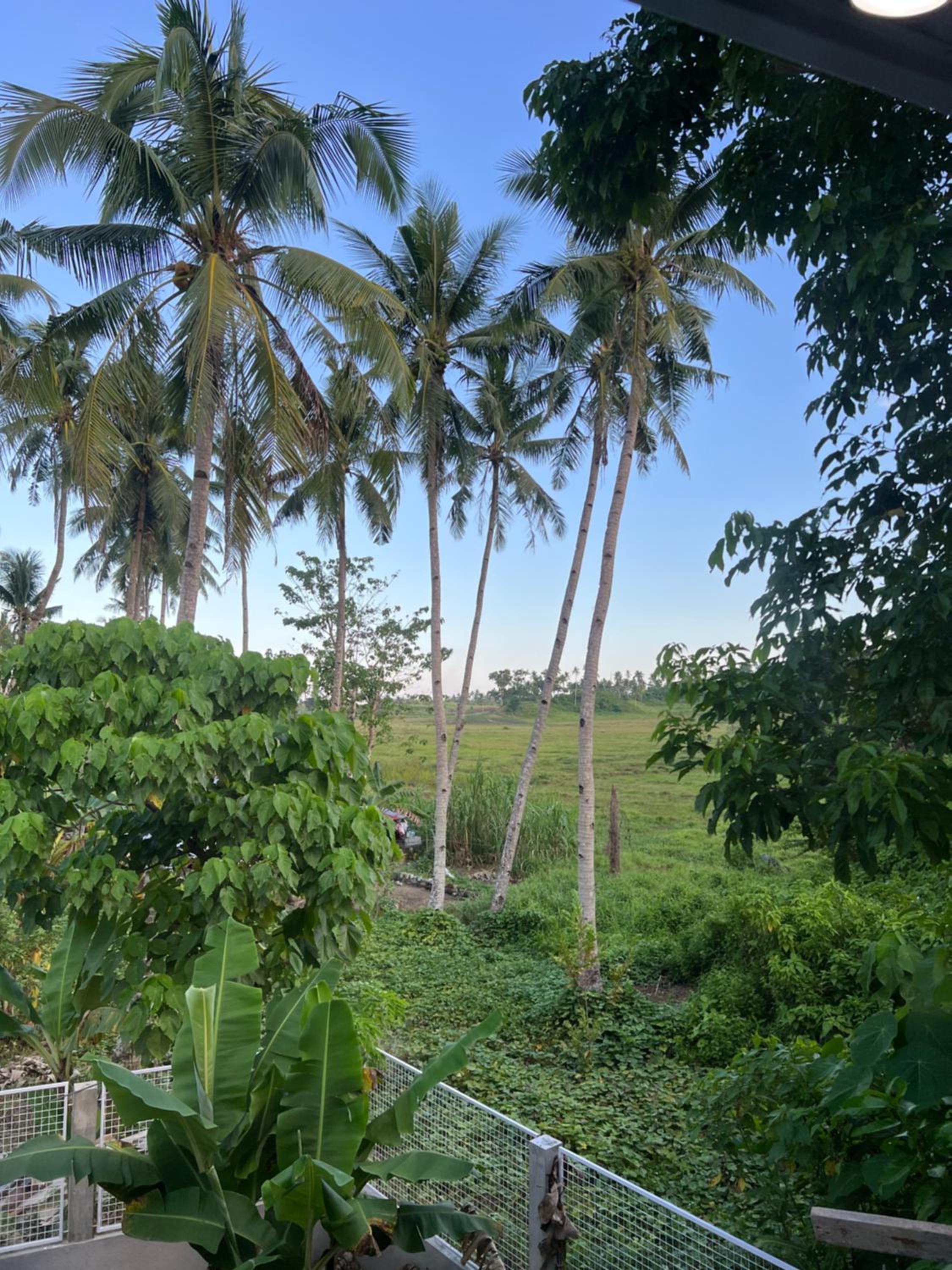 SUMMER HOUSE C Starlink view 3
