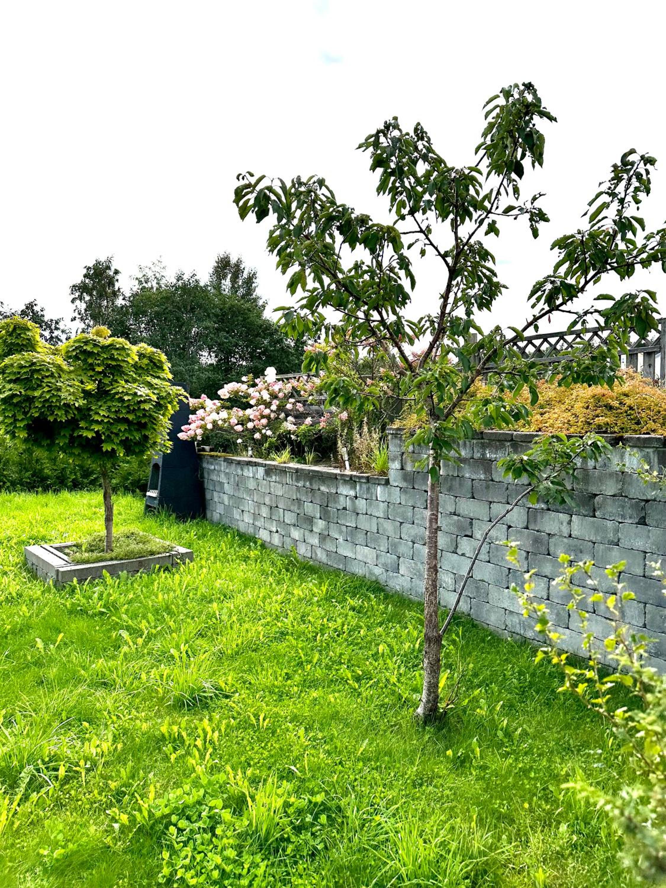 Villa Peaceful - Close to Lillestrøm, Ahus, Oslo Met, Kjeller, Lørenskog, Strømmen, Gardermoen Osl AirPort and NATURE