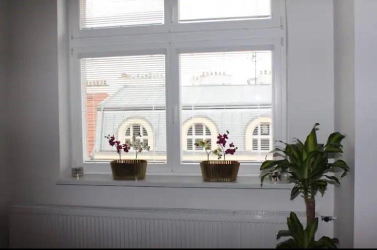 Lenka's cozy Red studio + Lenka's cozy Gold apartment