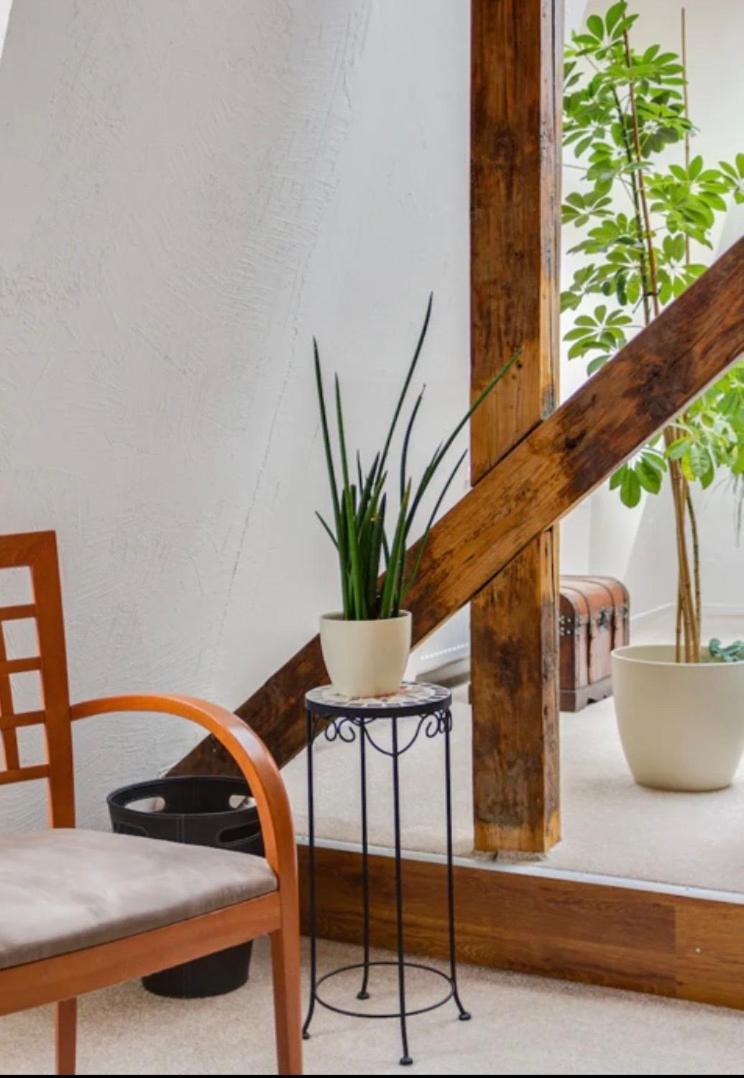 Lenka's cozy Red studio + Lenka's cozy Gold apartment