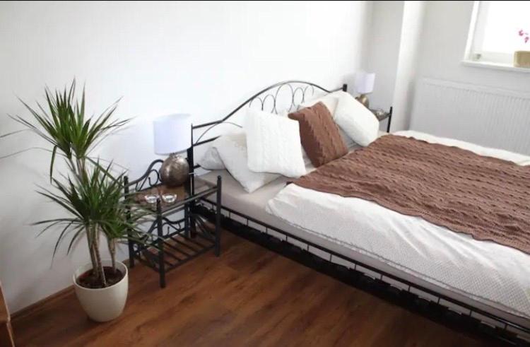Lenka's cozy Red studio + Lenka's cozy Gold apartment