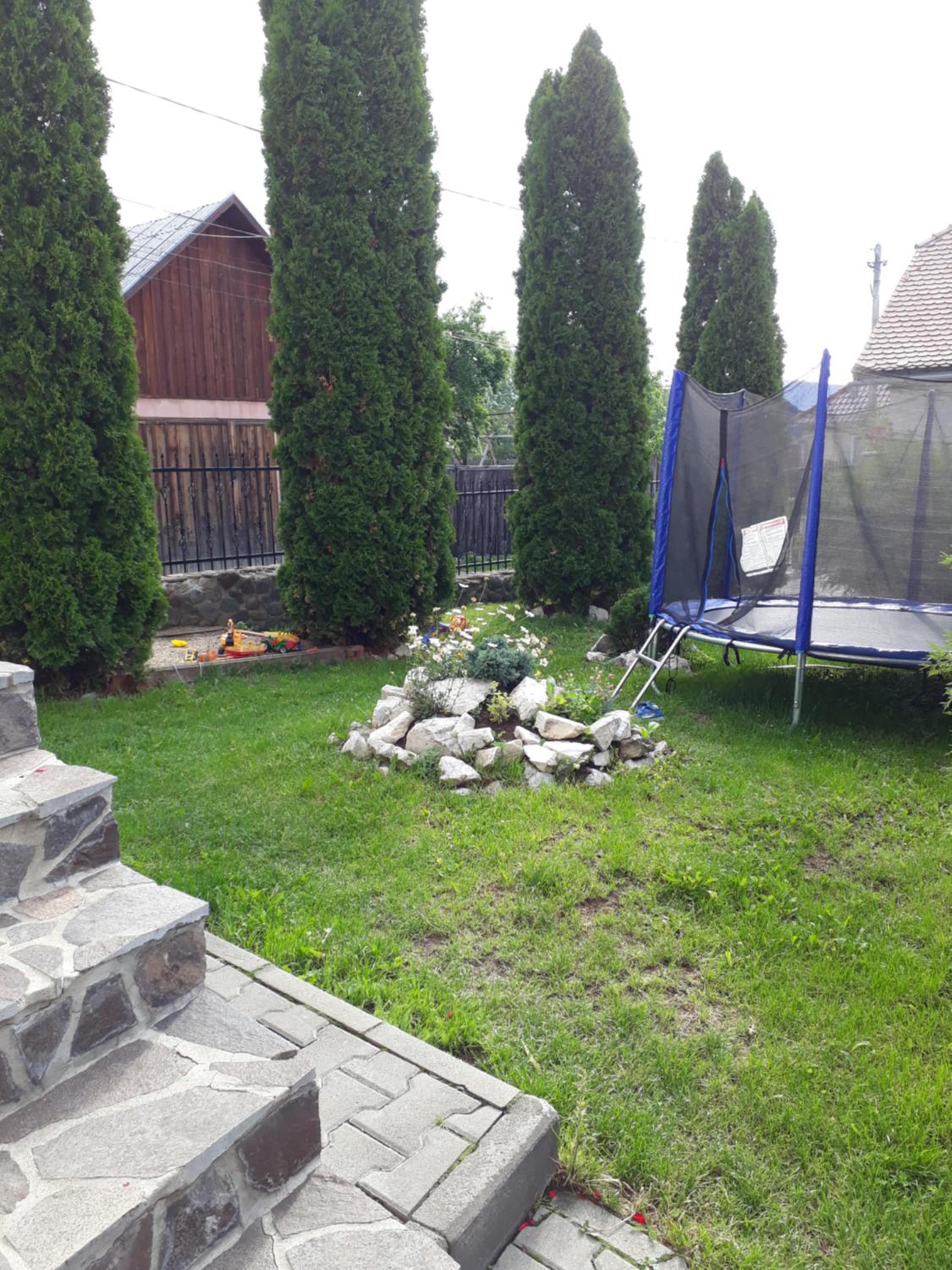 Photo 35