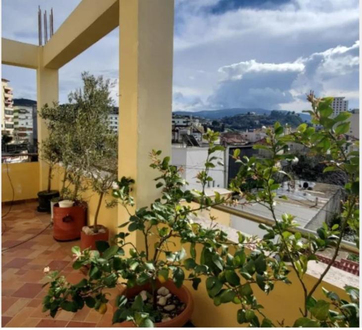 Exquisite City Guest House
