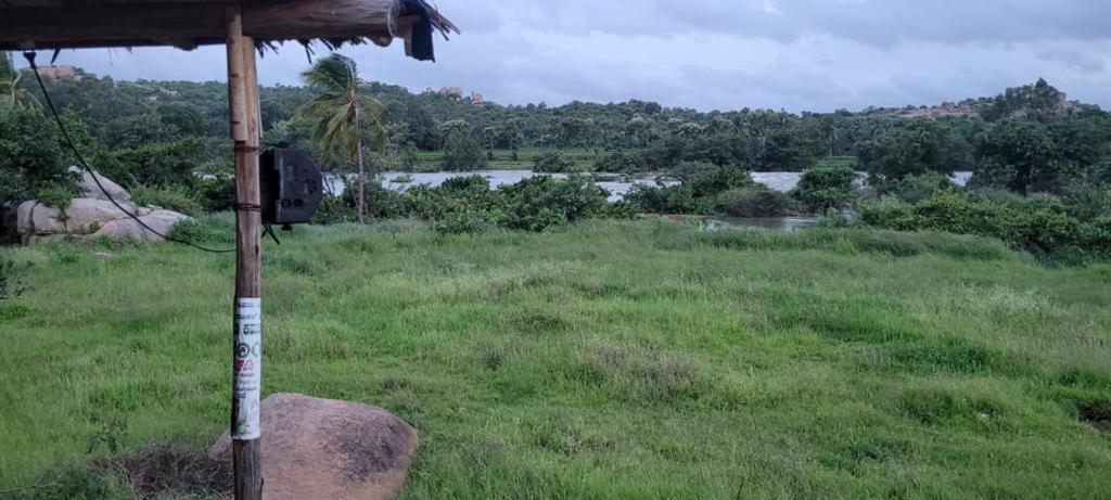 Monkey Paradise Hampi
