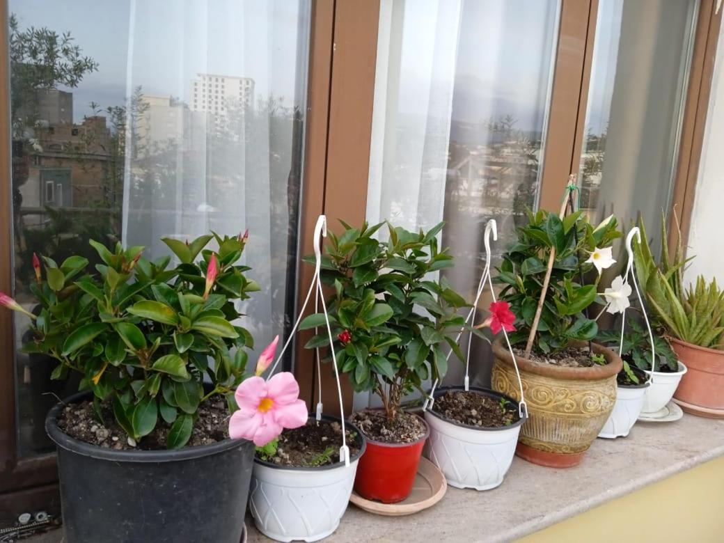 Exquisite City Guest House