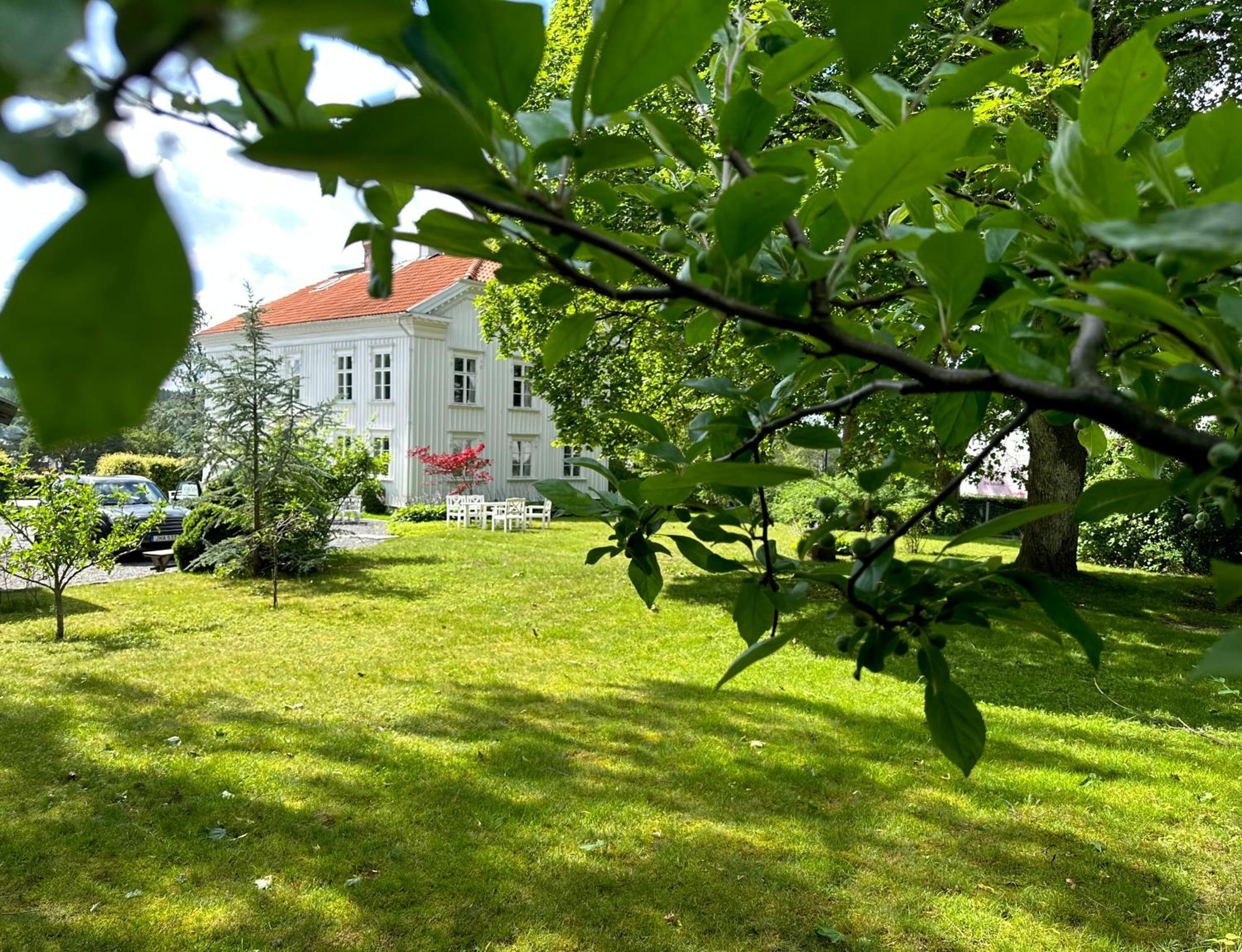 Photo 18
