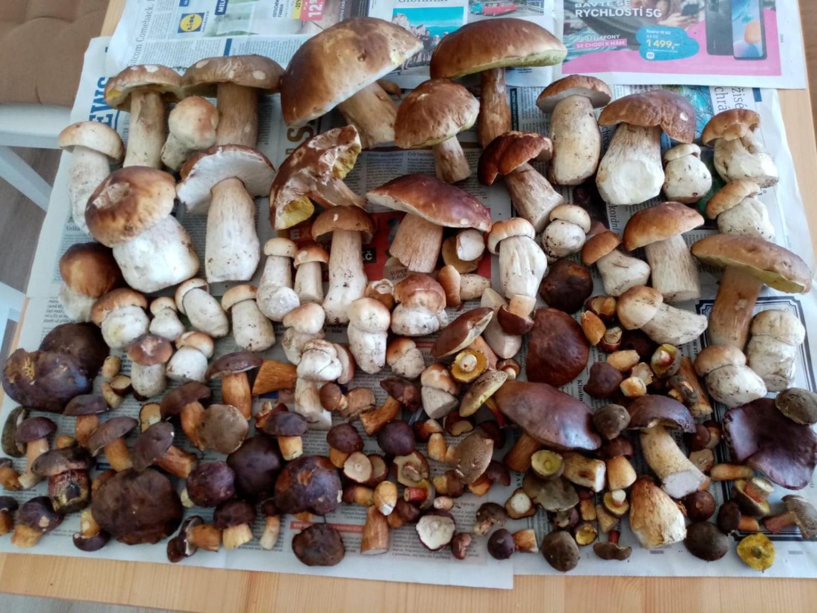 Apartmán Plešivec ALL4FUN u sjezdovky