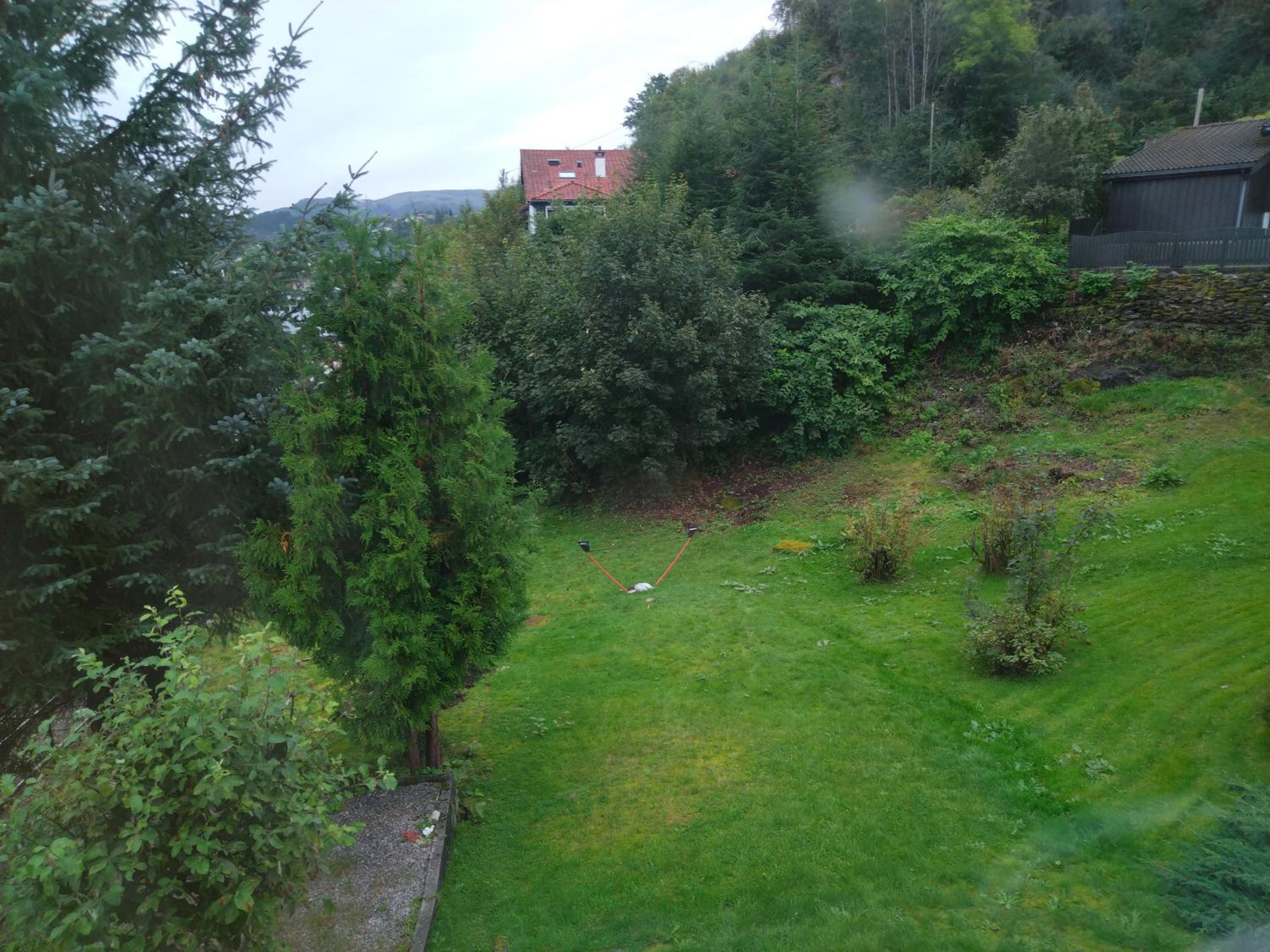 Photo 37