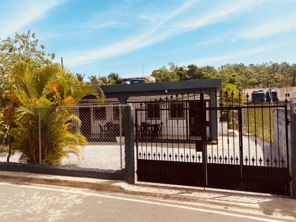 Caribbean Domicile