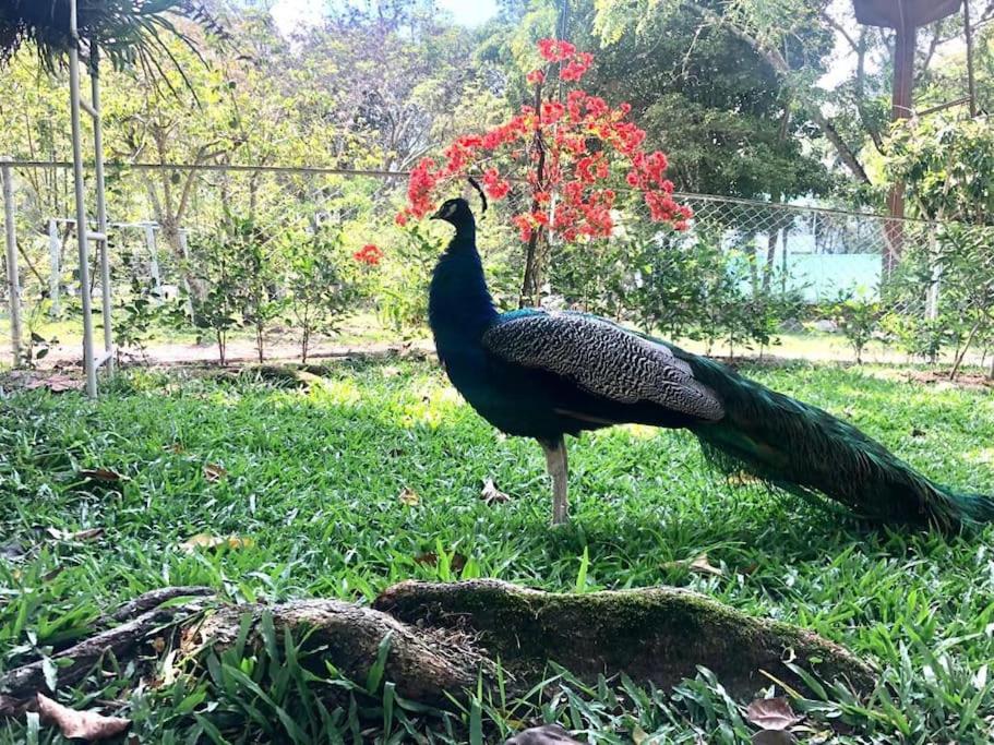 Casa de campo Cutucumay