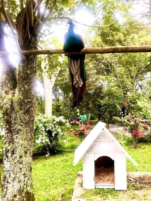 Casa de campo Cutucumay