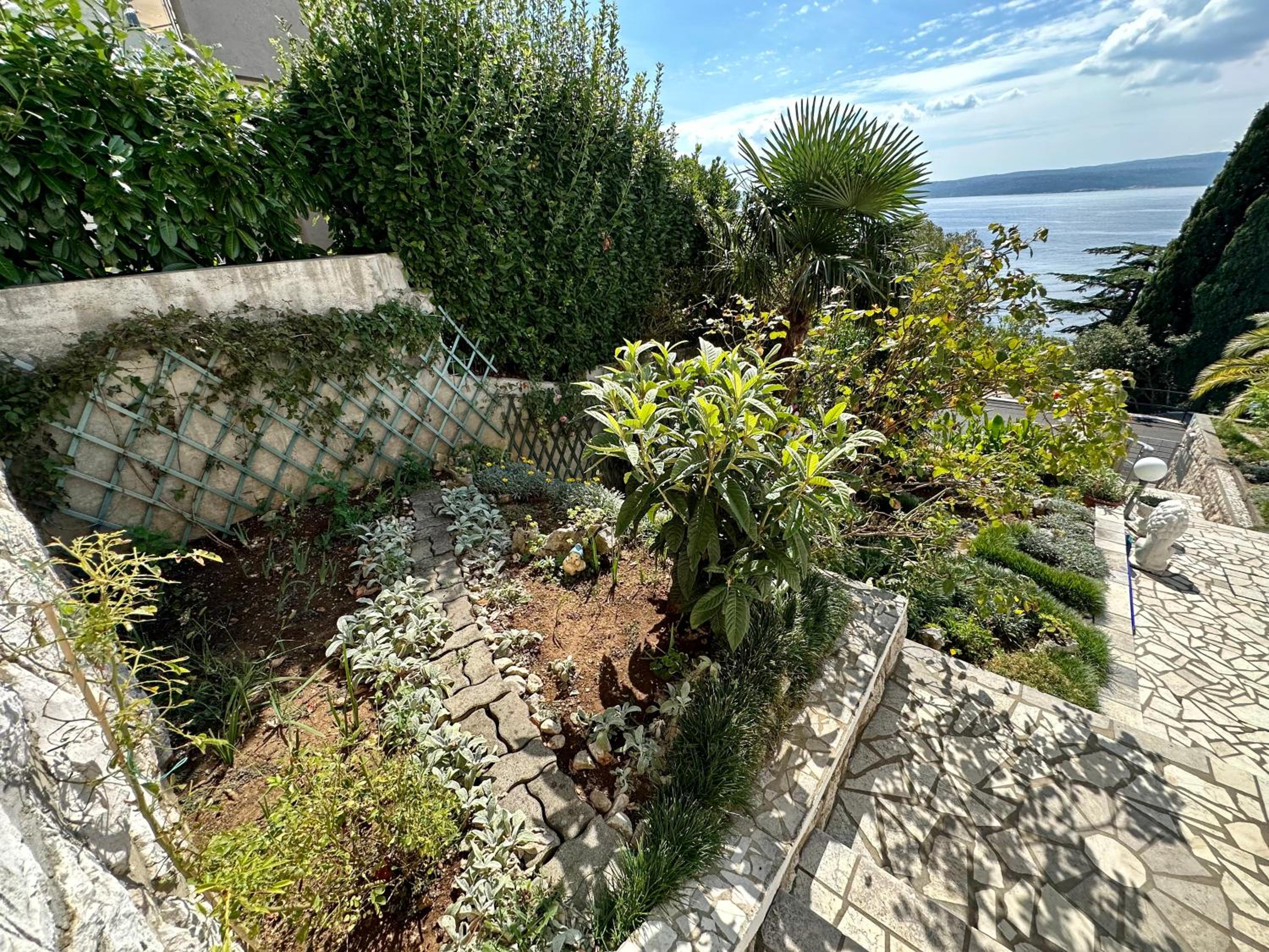 Apartmani Loki view 4
