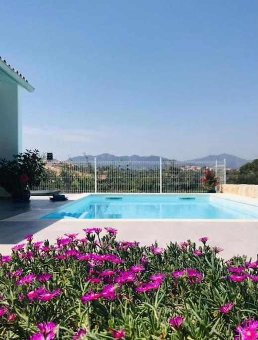 Vista mare con piscina a Budoni - Baia Sant’Anna photo 2