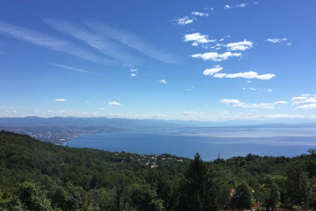 Villa Montana - Apartment Panorama 1 with beautiful sea view near Opatija view 5