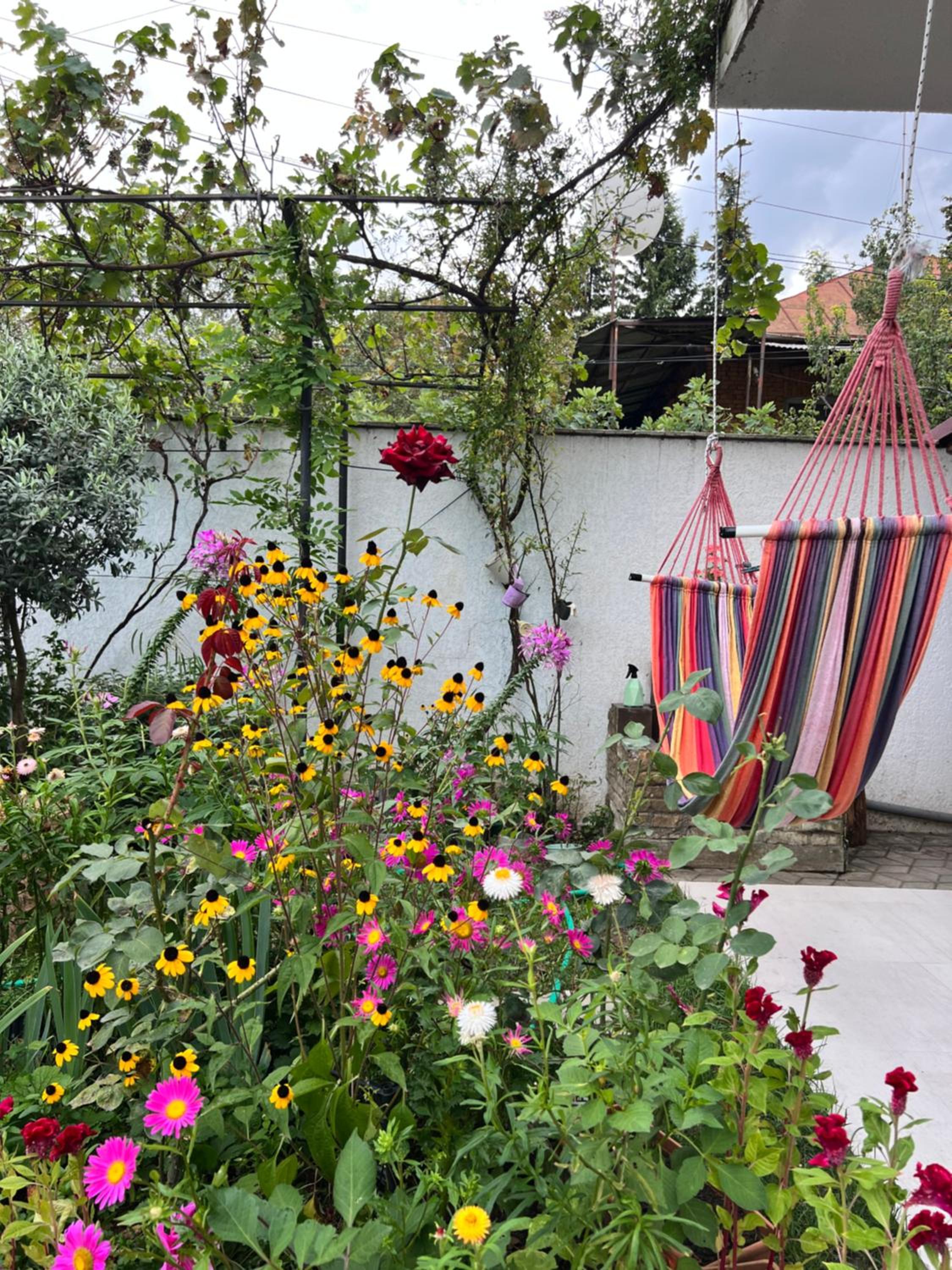 Guest House PIROSMANI