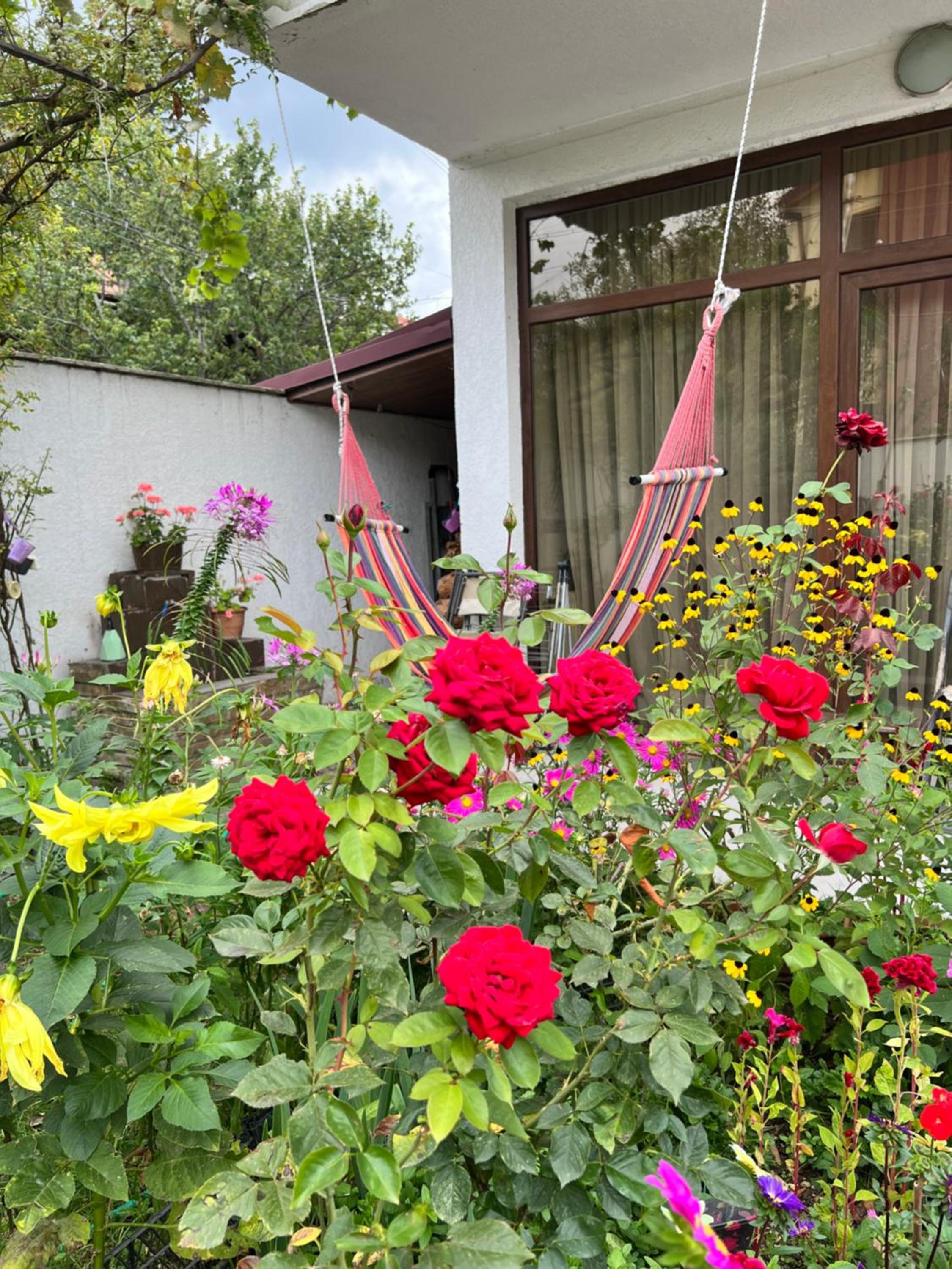 Guest House PIROSMANI