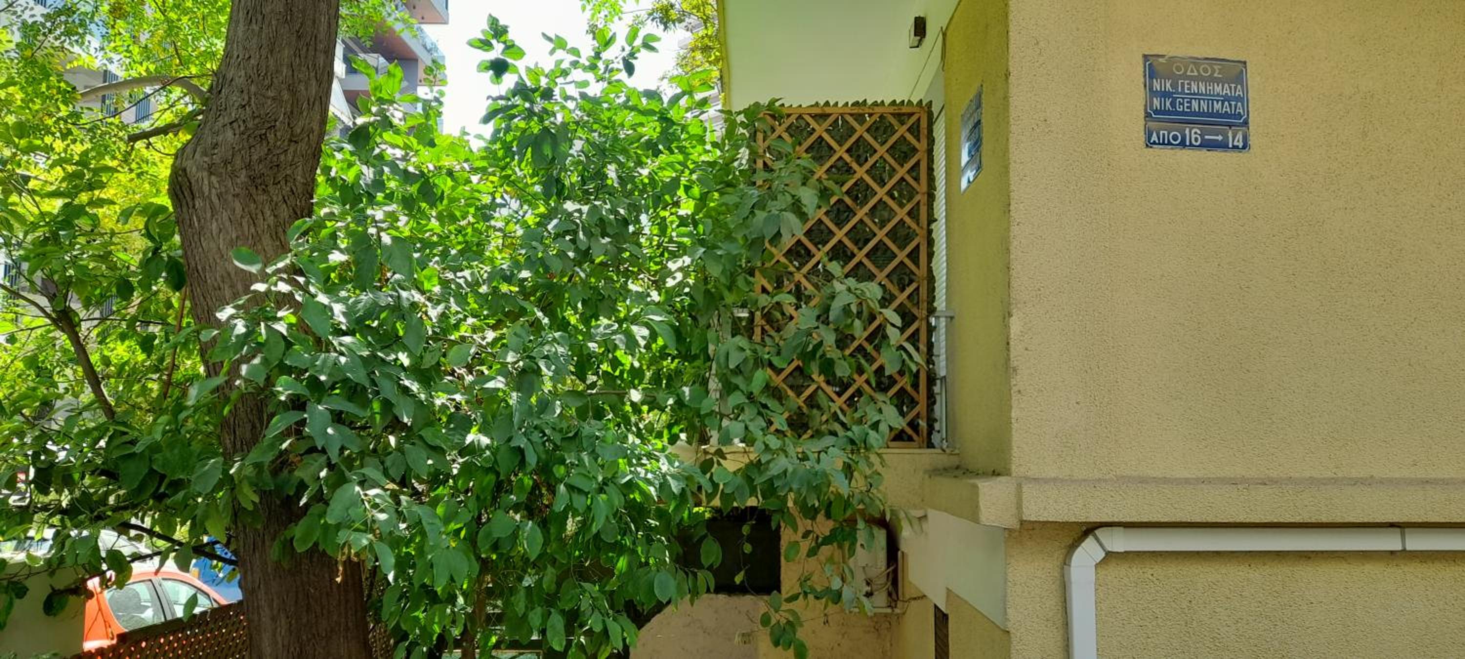 Apartment with a green balcony in Athens