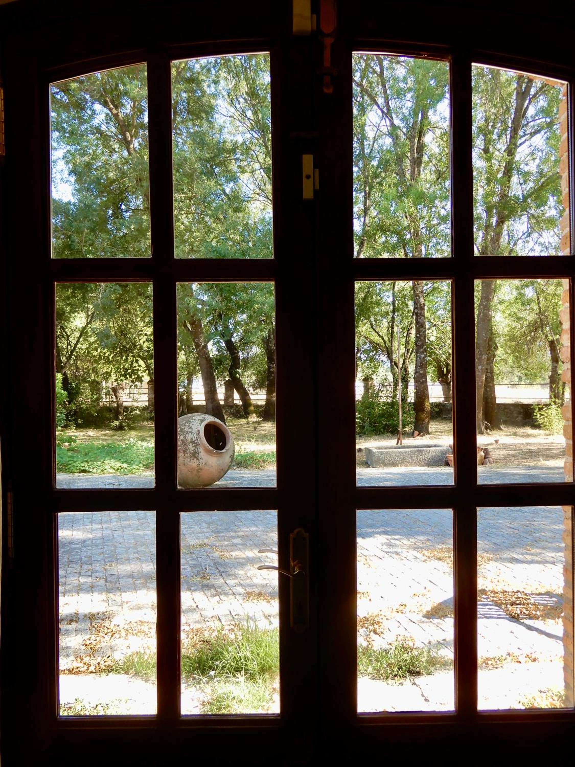 Photo 28