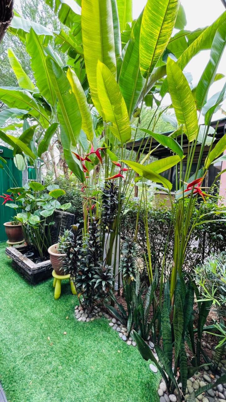 Putrajaya Cozy SemiD