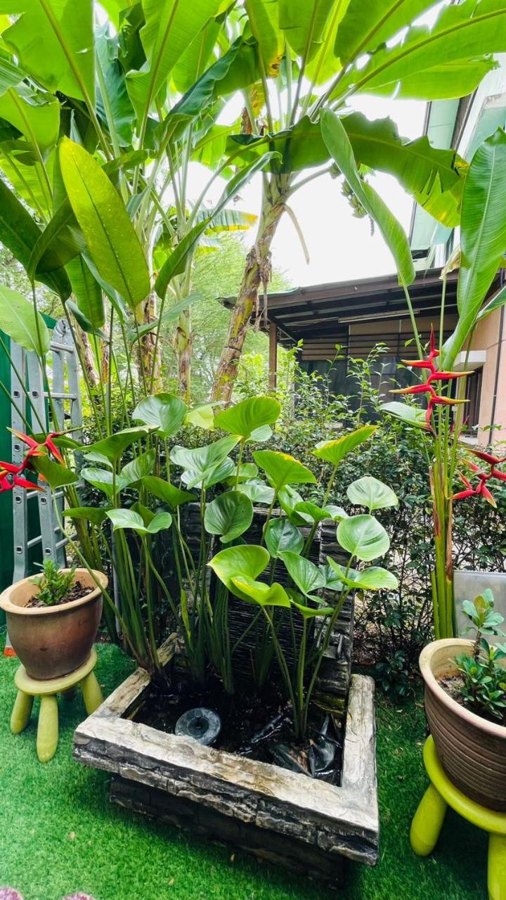 Putrajaya Cozy SemiD