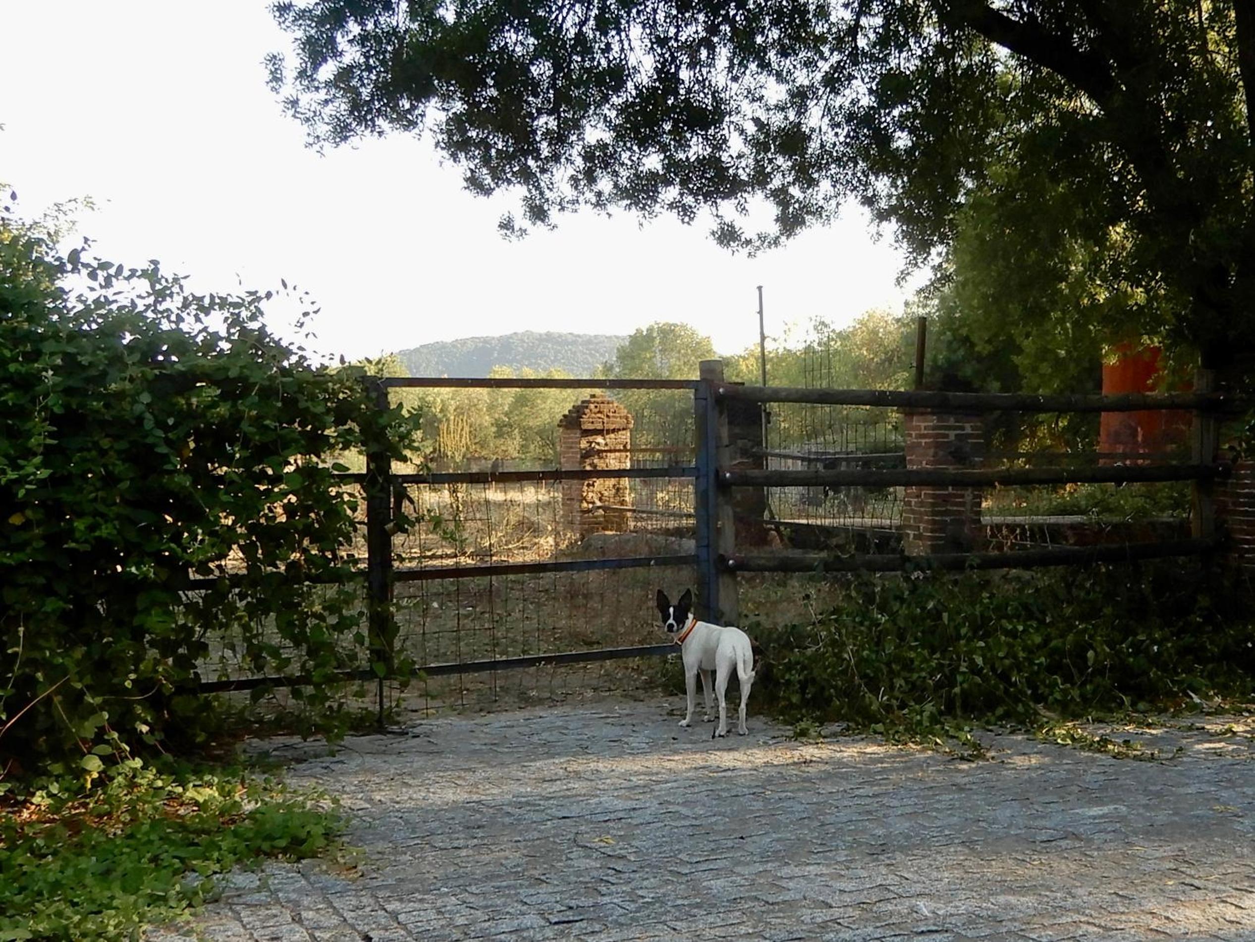 Photo 42