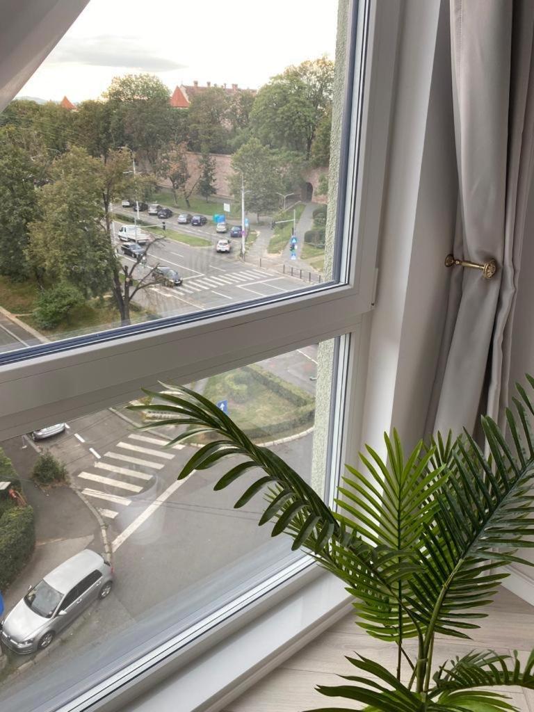 Elite Apartment