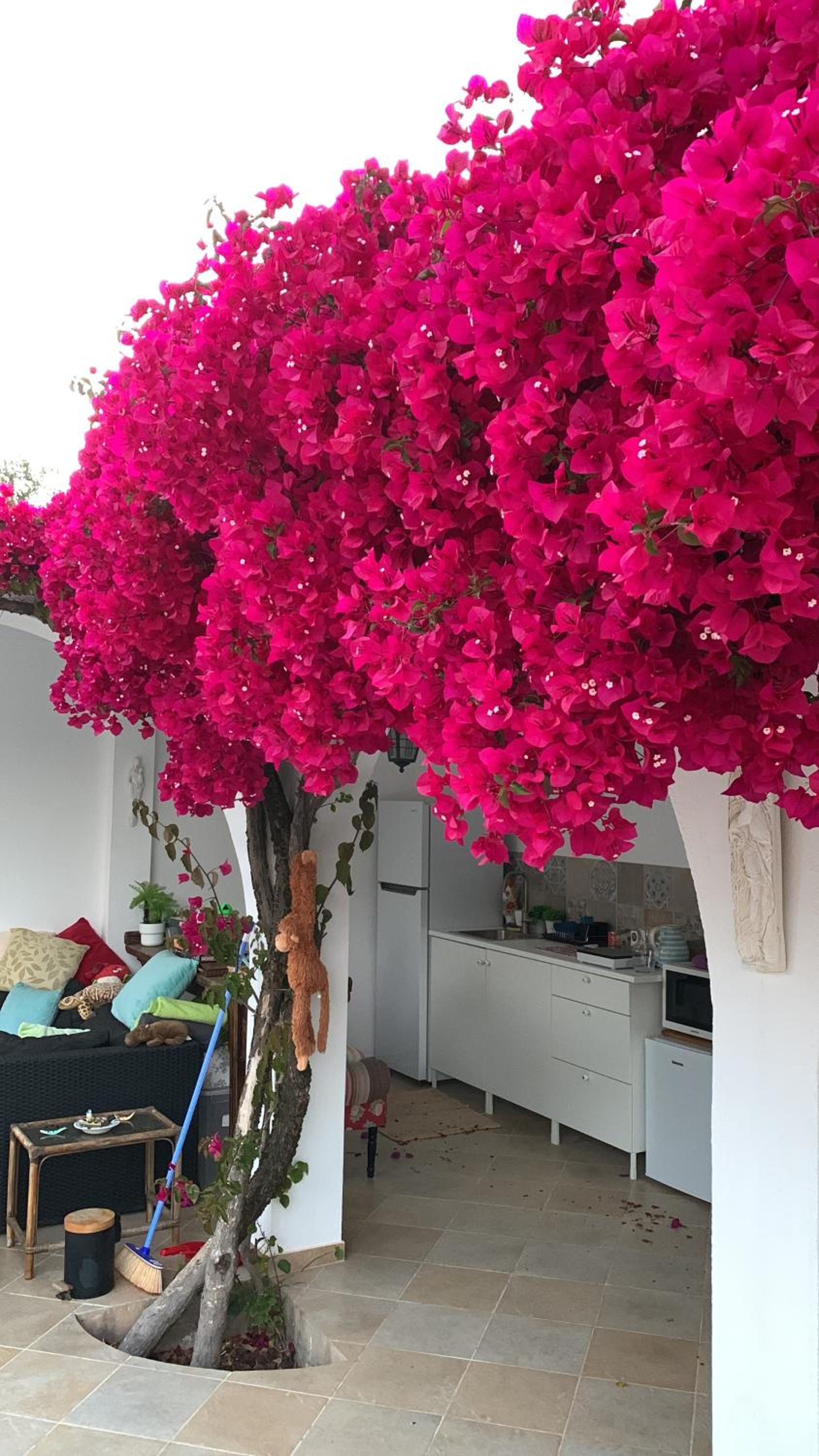 Studio de la Casa Paraiso avec, en plus, une terrasse privative extérieure semi couverte équipée d'un salon d'un coin repas d'une kitchenette, la grande pi view 4