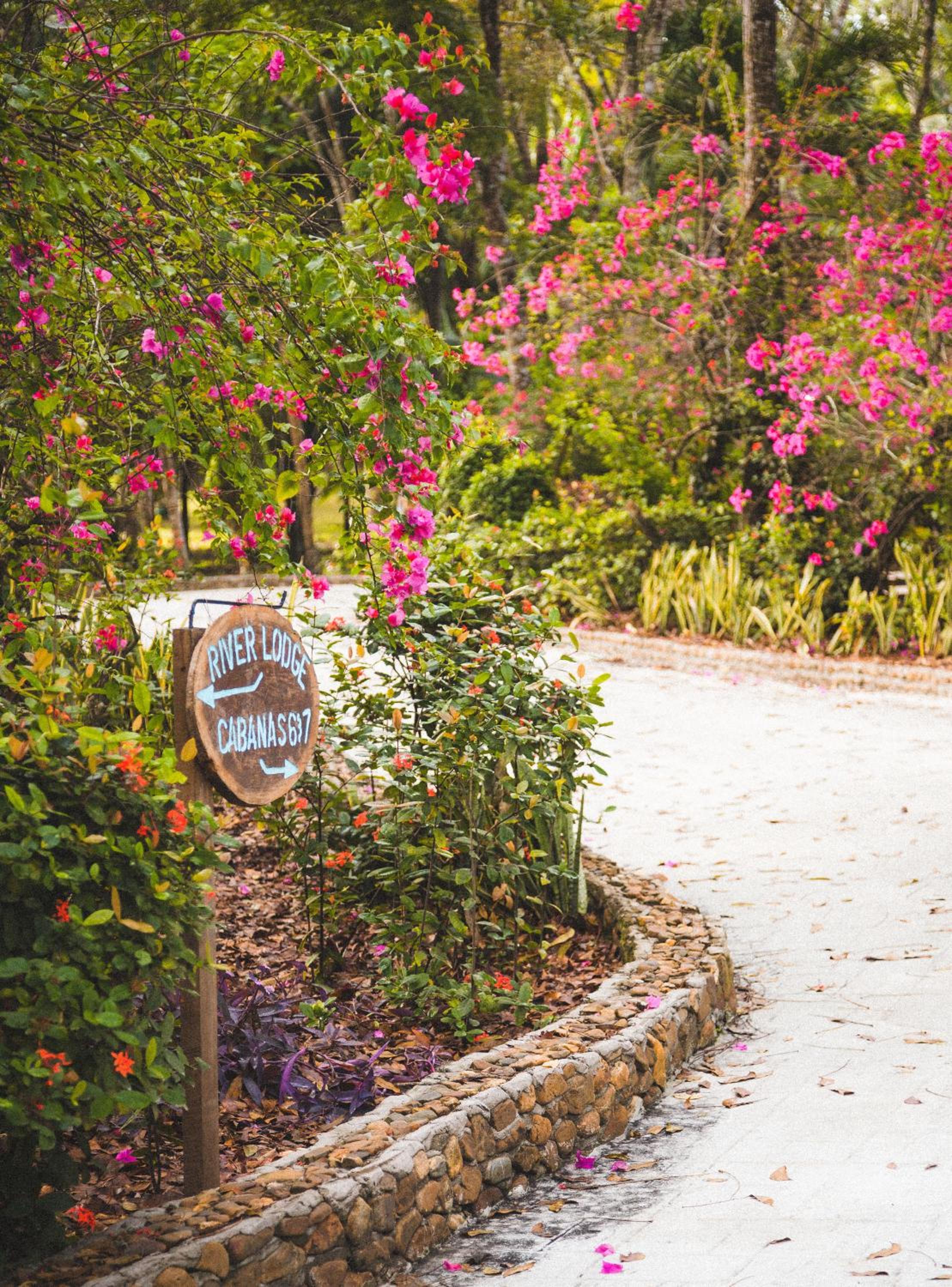 The Mayan Garden