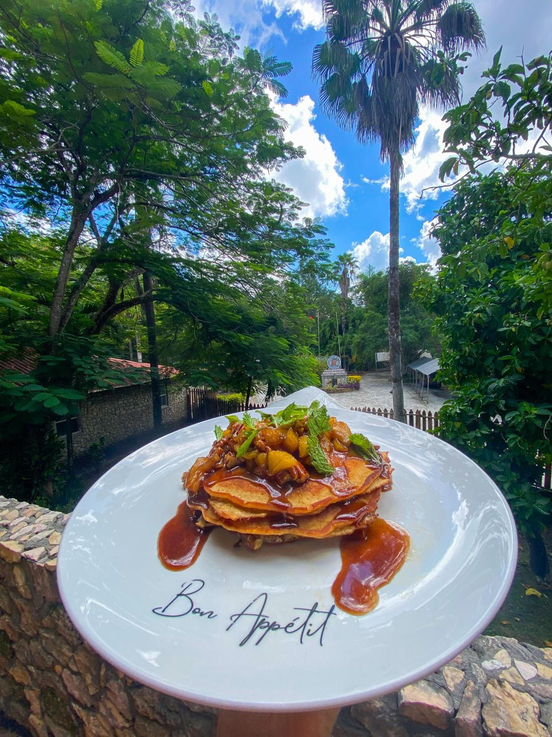 The Mayan Garden