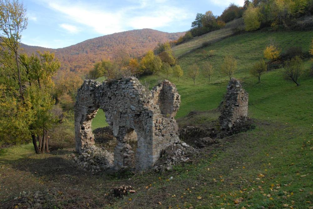 Photo 50