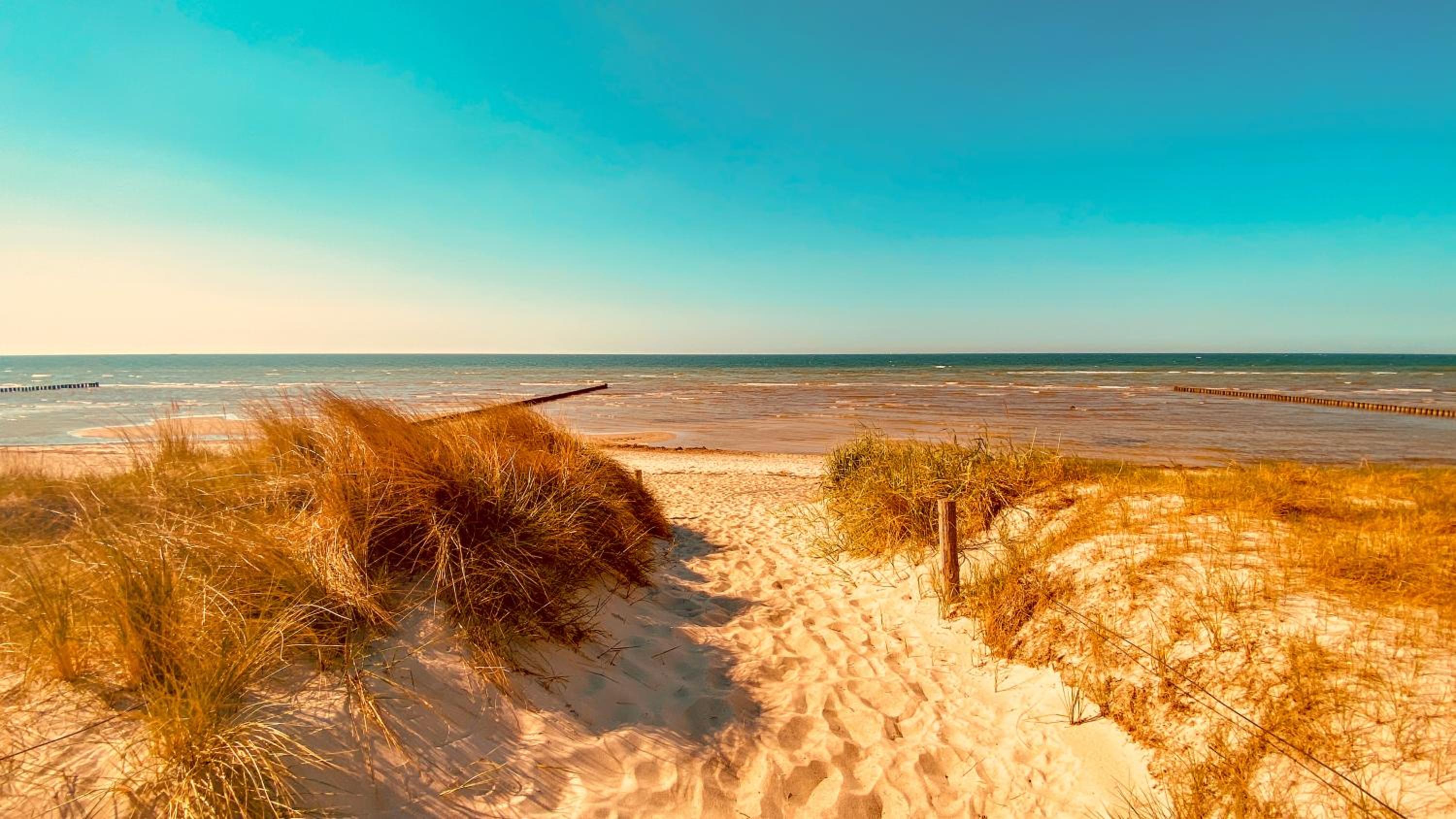 Haus Sansibar auf Poel mit Sauna& Kamin, ruhigem Garten-700m vom Strand!
