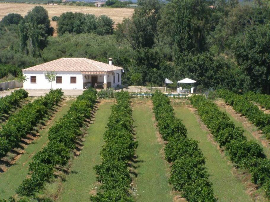 Casa Rural Alameda en Posadas Córdoba