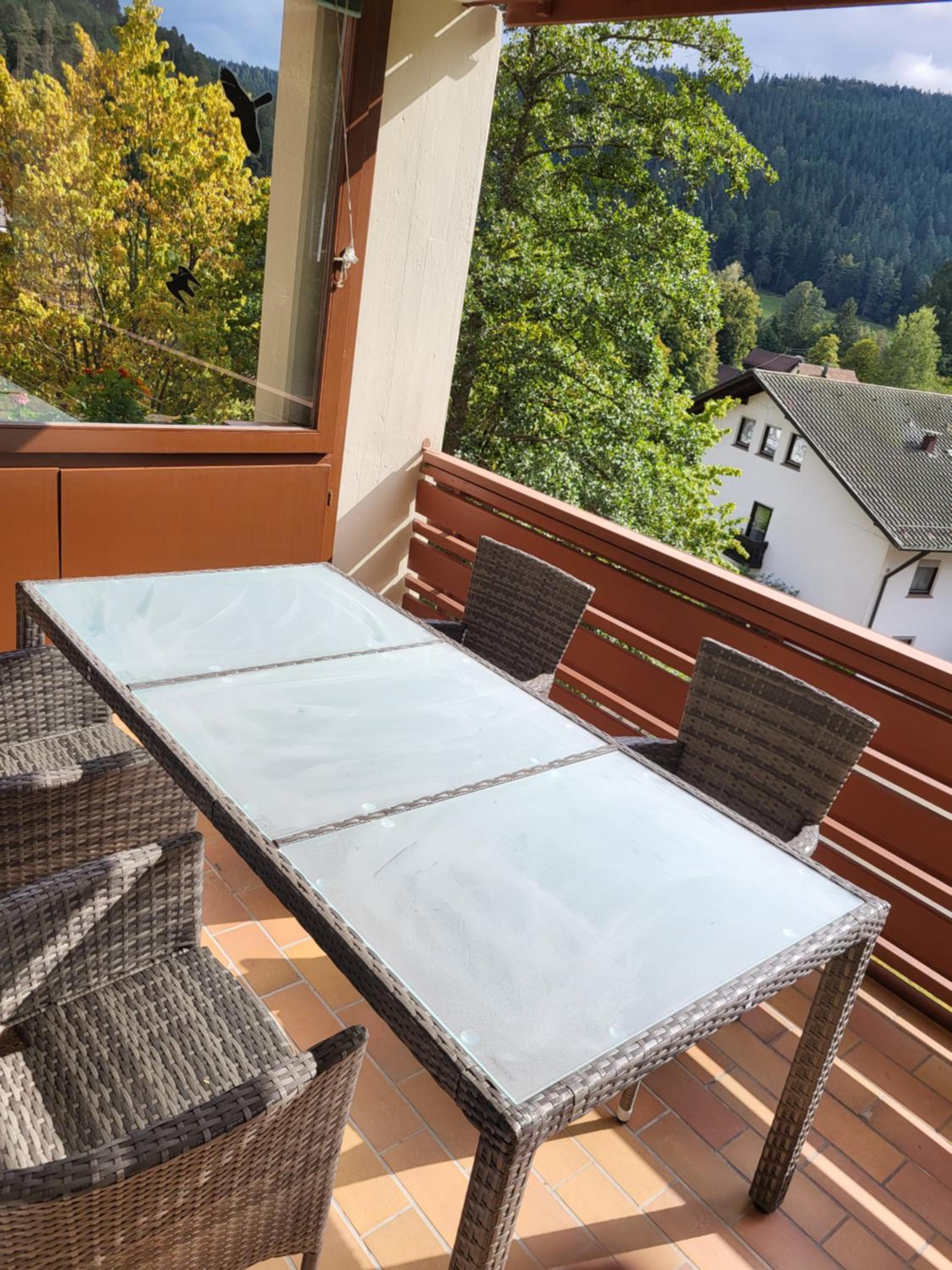 Schwarzwaldsuite mit Panorama Waldblick