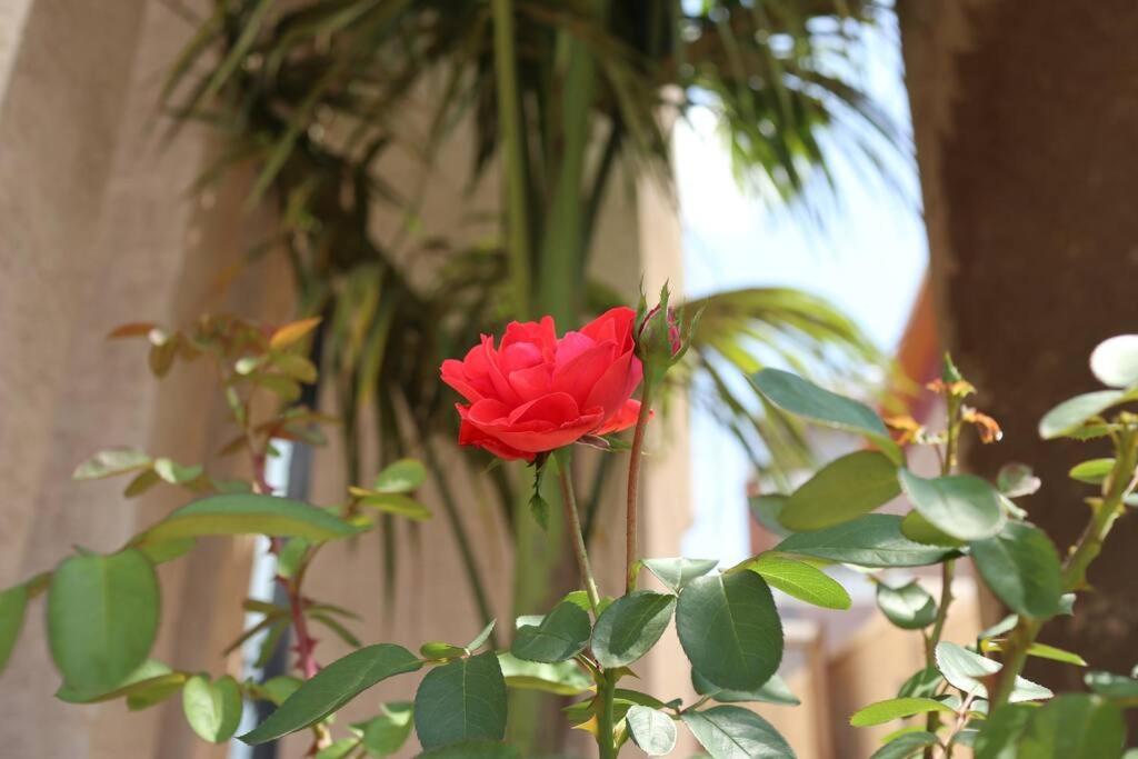 Photo 63