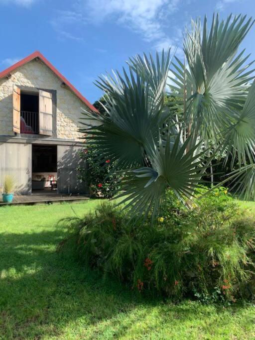 L'habitation Thara.